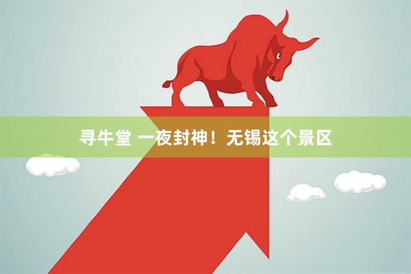 寻牛堂 一夜封神！无锡这个景区