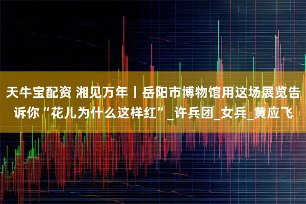 天牛宝配资 湘见万年丨岳阳市博物馆用这场展览告诉你“花儿为什么这样红”_许兵团_女兵_黄应飞